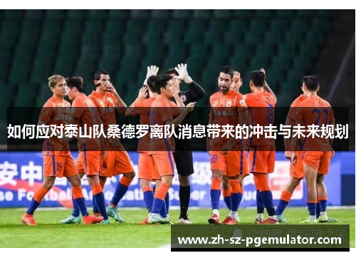 如何应对泰山队桑德罗离队消息带来的冲击与未来规划