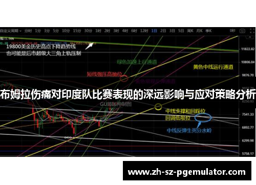 布姆拉伤痛对印度队比赛表现的深远影响与应对策略分析