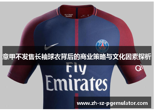 意甲不发售长袖球衣背后的商业策略与文化因素探析