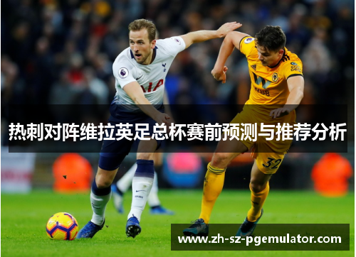 热刺对阵维拉英足总杯赛前预测与推荐分析
