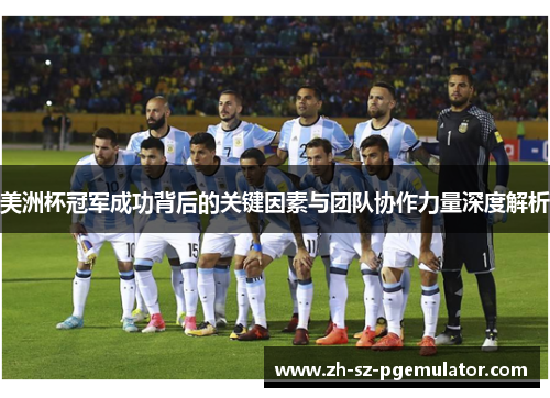 美洲杯冠军成功背后的关键因素与团队协作力量深度解析