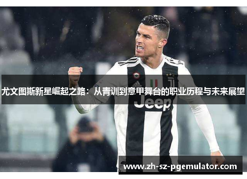 尤文图斯新星崛起之路：从青训到意甲舞台的职业历程与未来展望