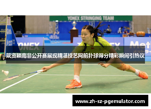 戴资颖南非公开赛展现精湛技艺网前扑球得分精彩瞬间引热议 戴资颖南非公开赛展现精湛技艺网前扑球得分精彩瞬间引热议
